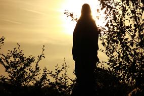 silhouette of a sculpture with plants