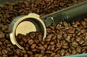 roasted coffee beans in a spoonful