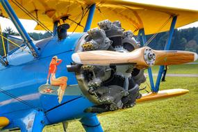 Colorful aircraft, with the pin-up girl, on the colorful field, near the trees