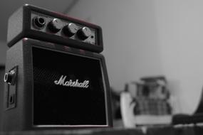 Black and white photo with beautiful Marshall sound box