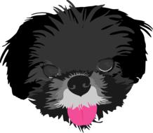 dog pet portrait black grey