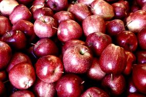 The harvest of sweet apples is delicious