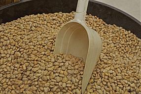 bean scoop