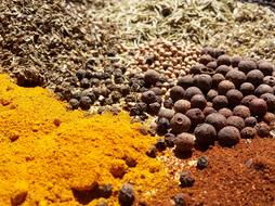 fresh curry spices