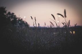 In The Evening Autumn Sky