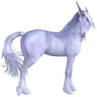 animal horse equine mammal pets