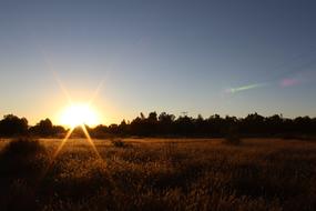 Sunset Autumn Nature