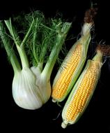 ripe tasty healthy vegetables