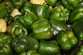 Fresh tasty green peppers