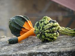 ,vegetables ,halloween ,fall ,food ,orange ,color