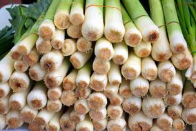 fresh delicious onions