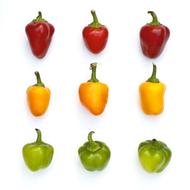 colored peppers on a white background