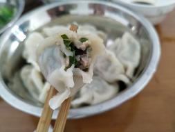 meat dumpling in a plate