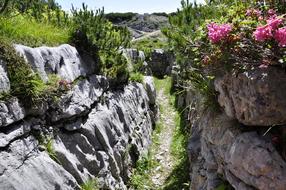 Trench World War 1918