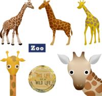 giraffe zoo cartoon animals