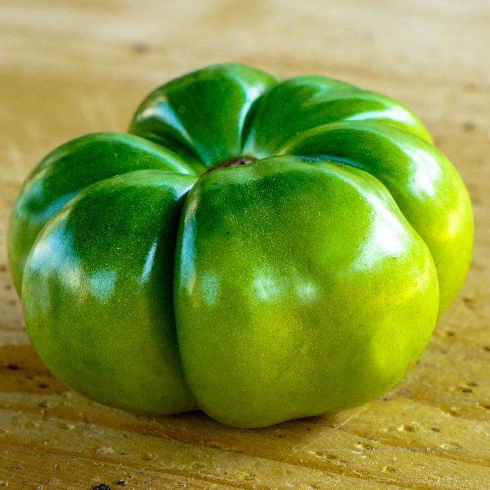 unripe green tomato
