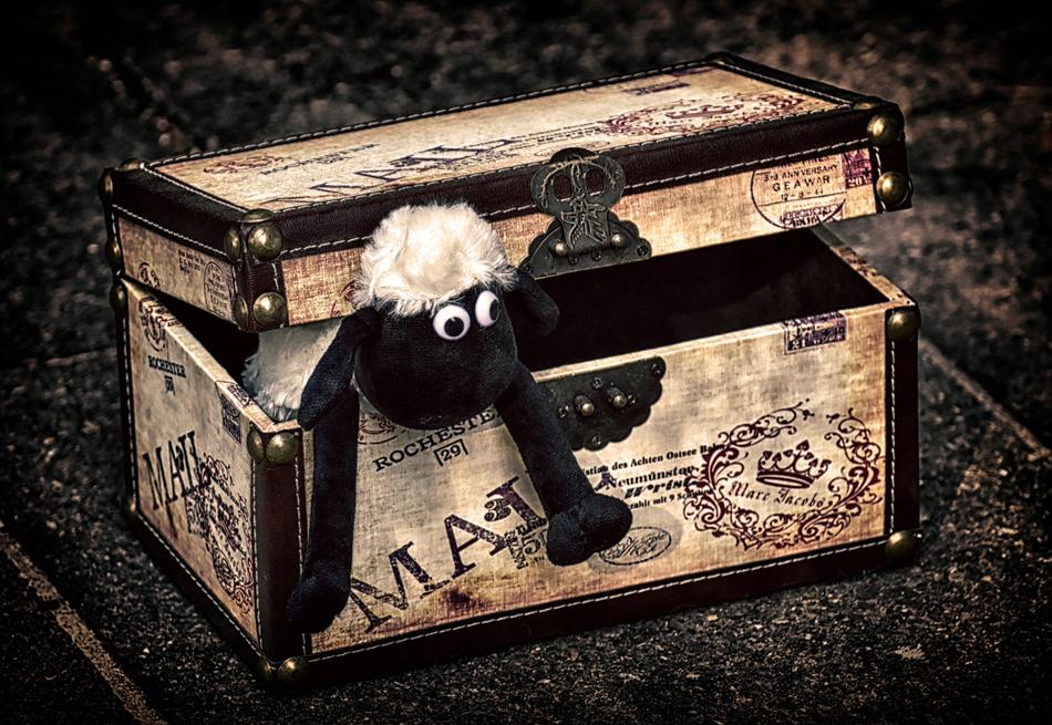 Sheep Chest Box