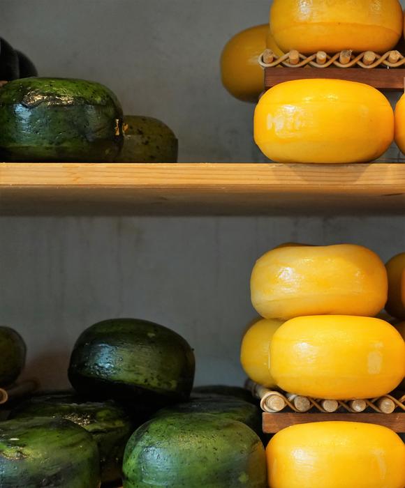delicious fresh cheese on the shelf