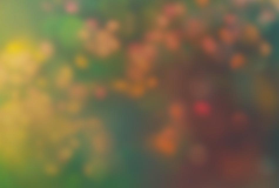 blurred autumn background