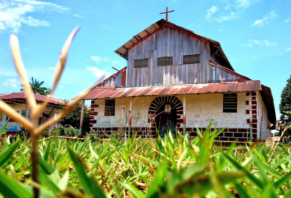 beautiful house in green grass