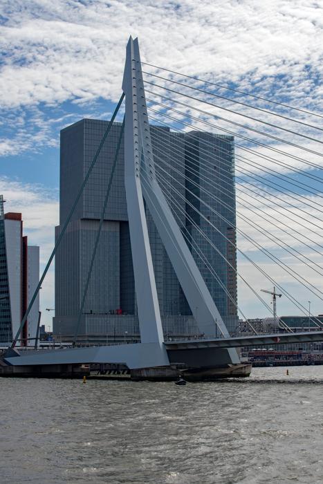 Bridge and Buildings in Rotterdam