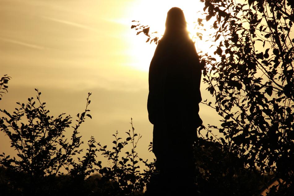 silhouette of a sculpture with plants
