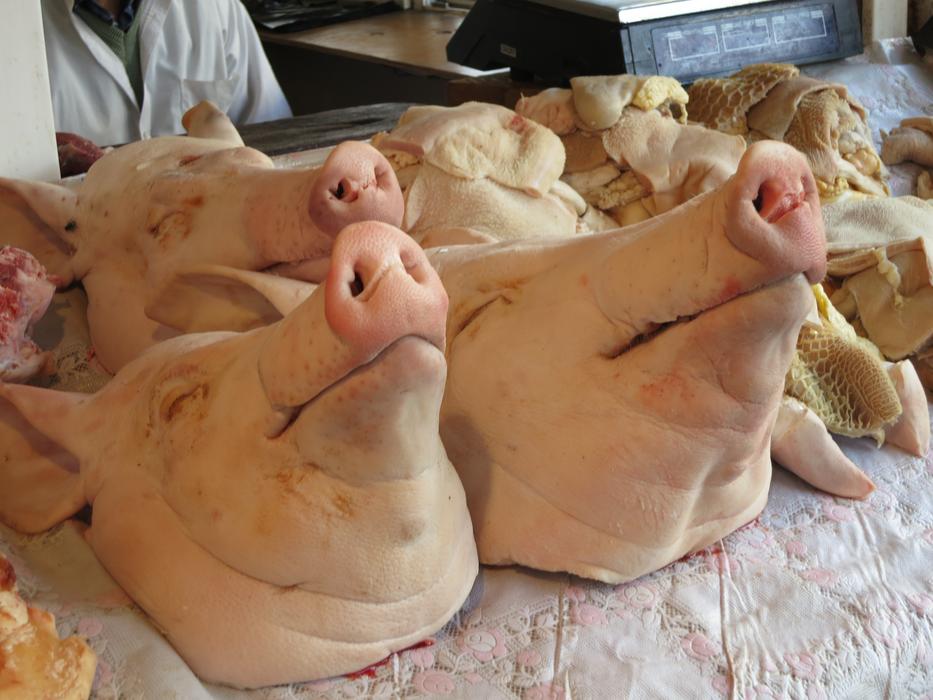 Georgia Market Animal Pig