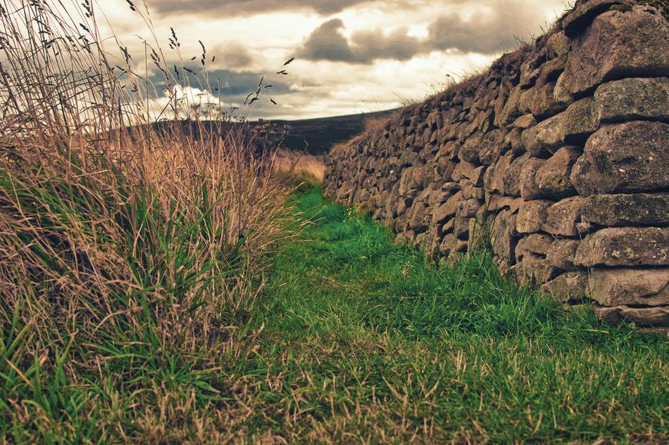 Old Wall on Meadow