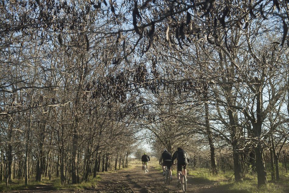 Cyclists Adventure Bicycle