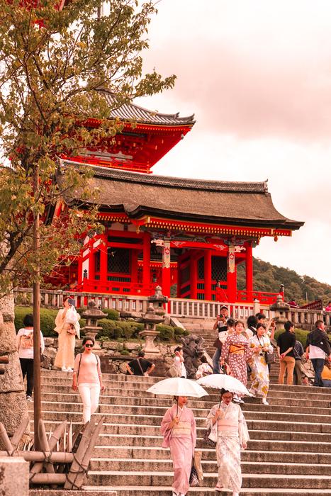 Sightsee Kyoto Japan