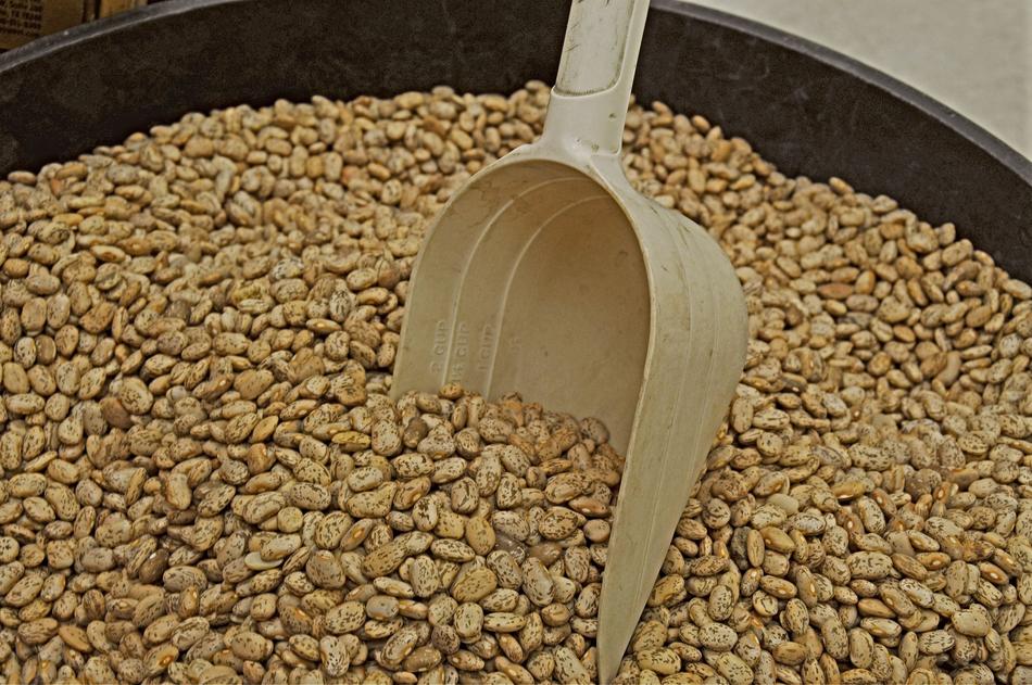 bean scoop