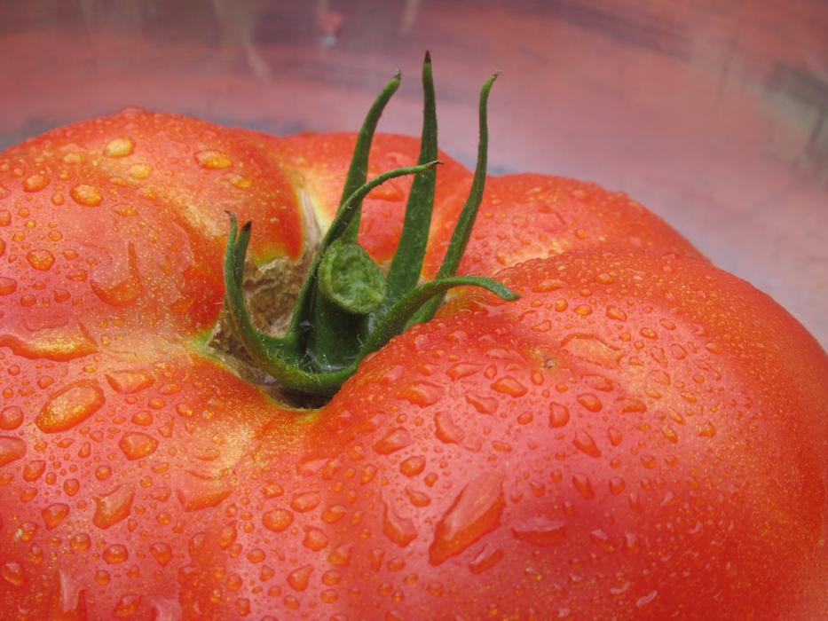 red tomato in a drop of water