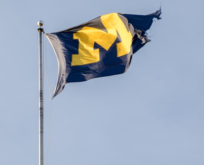 Flag Sports Michigan