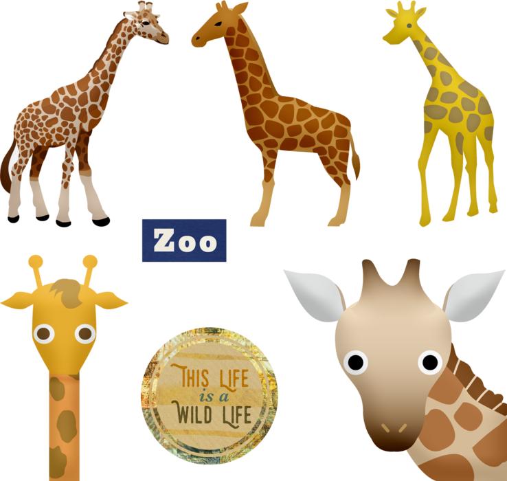 giraffe zoo cartoon animals