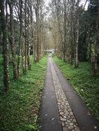 Rural Path Trail