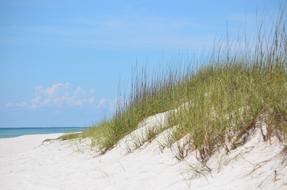 Sand Beach Nature
