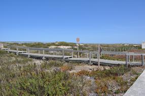 Portugal Beach Dune