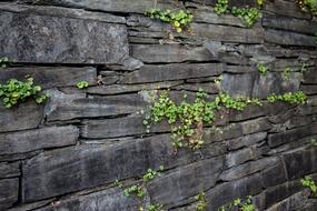 Wall Structure Stone