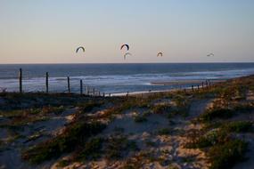 Sea Ocean Kites