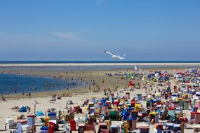 Beach Clubs Summer