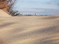 Beach Sand Sea