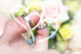 Wedding Rings Roses Background