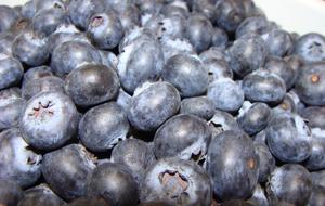 fresh delicious berries