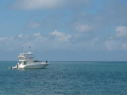 Paradise Caribbean Sea Honduras
