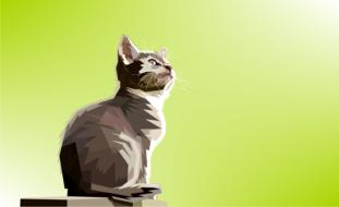 animal decoration cat design