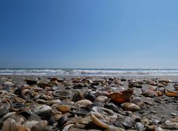 Venice Lido Sand