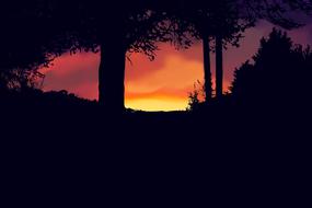 sunset landscape