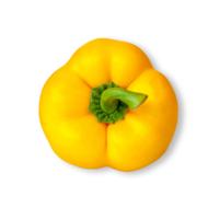 yellow pepper on white background