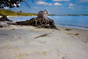 Beach Florida