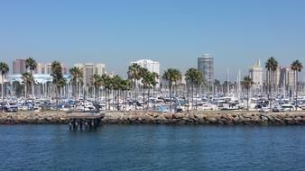 Harbor Bay Water